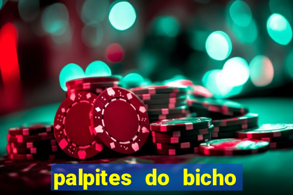 palpites do bicho no celular